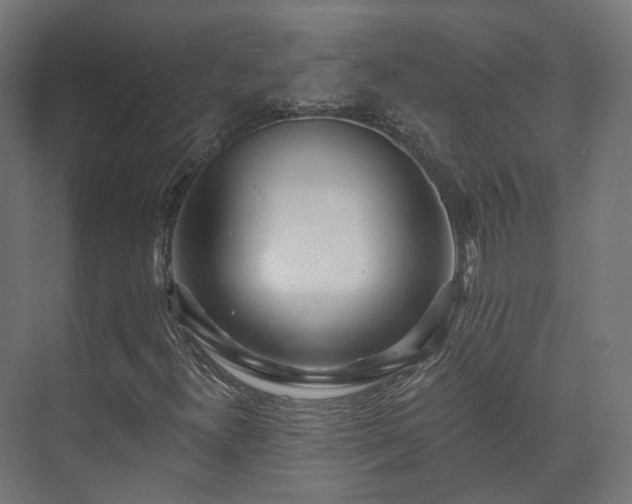 X0000073521300200608071111