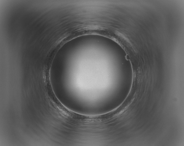 X0000073521305200608071111