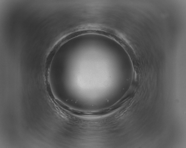 X0000073521312200608071111
