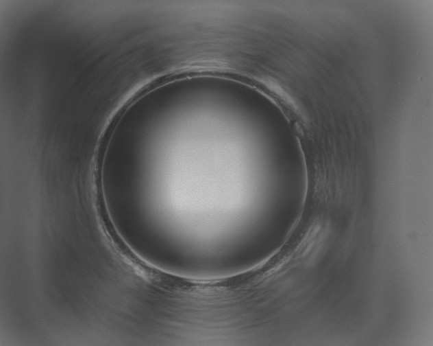 X0000073521325200608071111