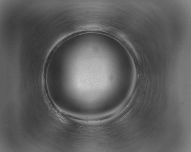 X0000073521328200608071111