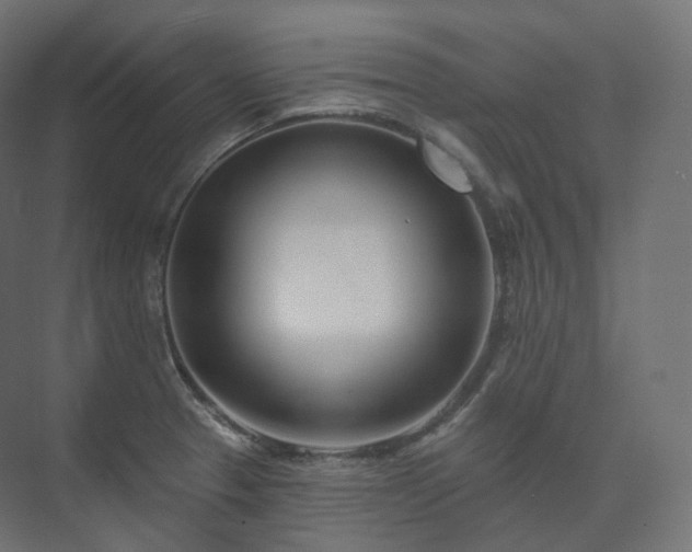 X0000073521329200608071111