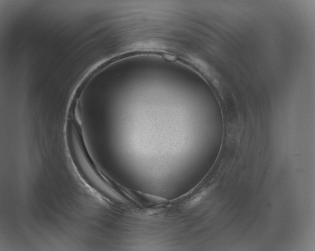 X0000073521331200608071111