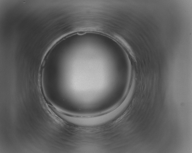 X0000073521340200608071112