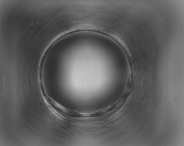 X0000073521342200608071112