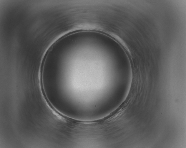 X0000073521343200608071112