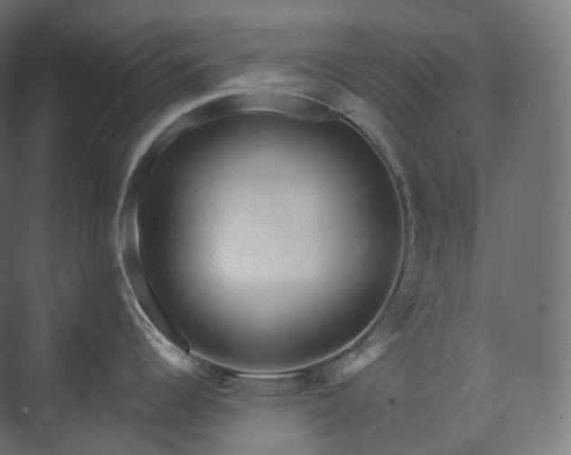 X0000073521344200608071112