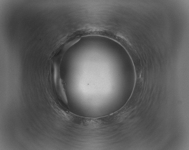 X0000073521348200608071111
