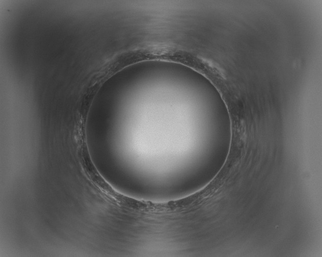 X0000073521349200608071111
