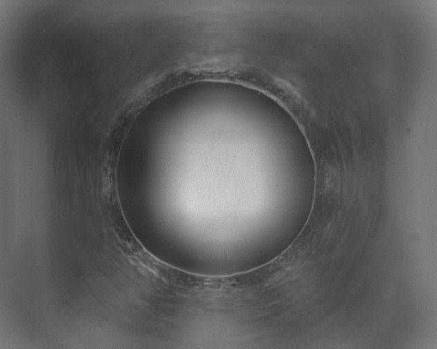 X0000073521350200608071111