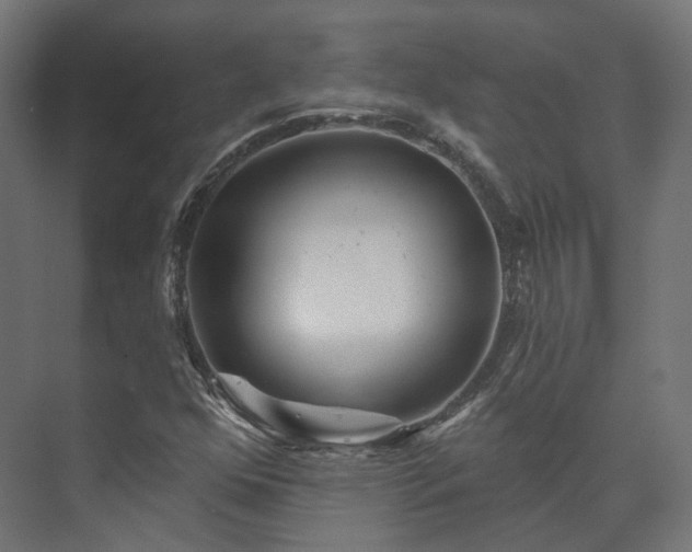 X0000073521352200608071111