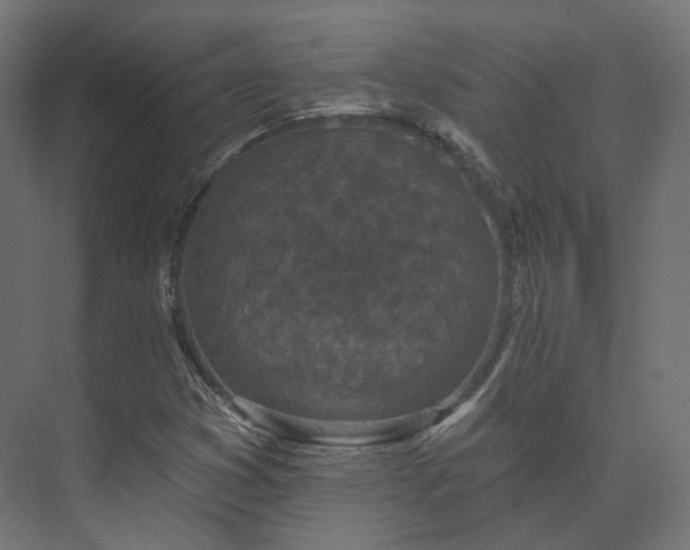 X0000073521353200608071111