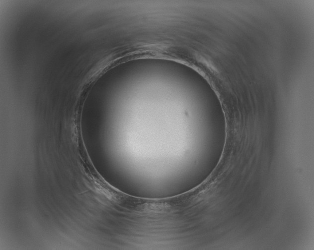 X0000073521354200608071111