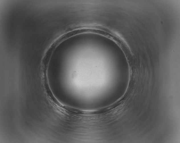 X0000073521360200608071111