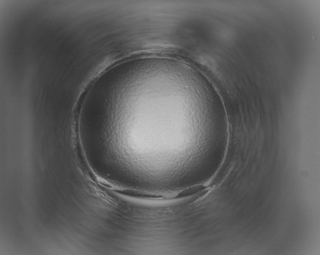 X0000073521362200608071110