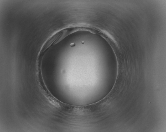 X0000073521364200608071110