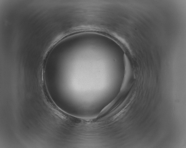 X0000073521365200608071110
