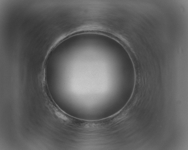 X0000073521366200608071110