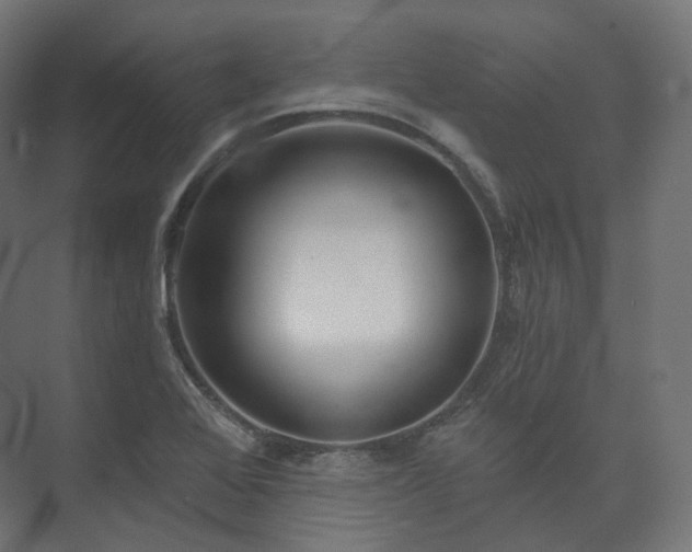 X0000073521368200608071110