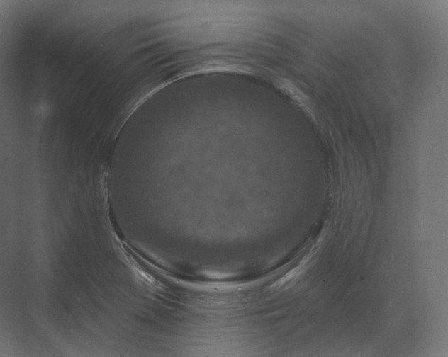 X0000073521369200608071110