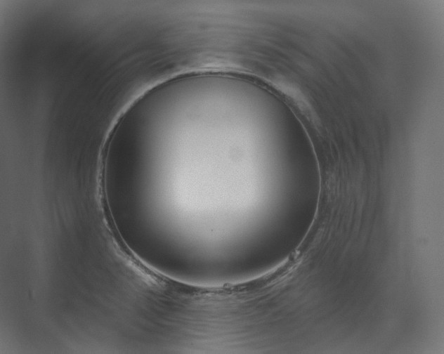 X0000073521374200608071110