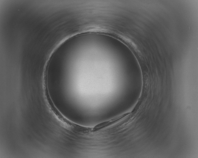 X0000073521375200608071110
