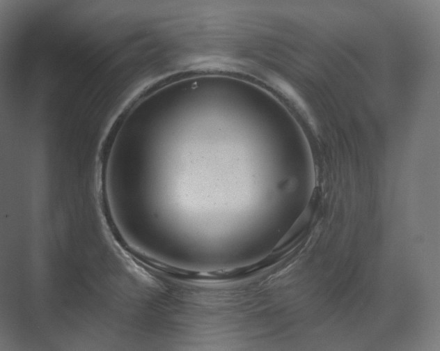 X0000073521376200608071110