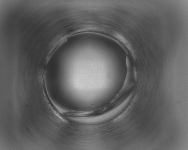 X0000073521377200608071110