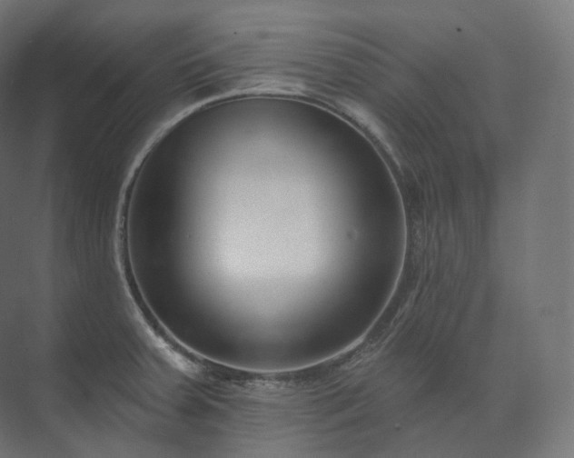 X0000073521379200608071110