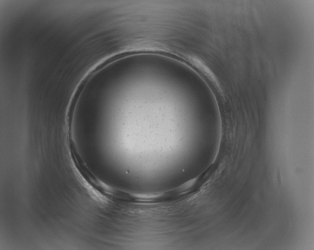 X0000073521380200608071110