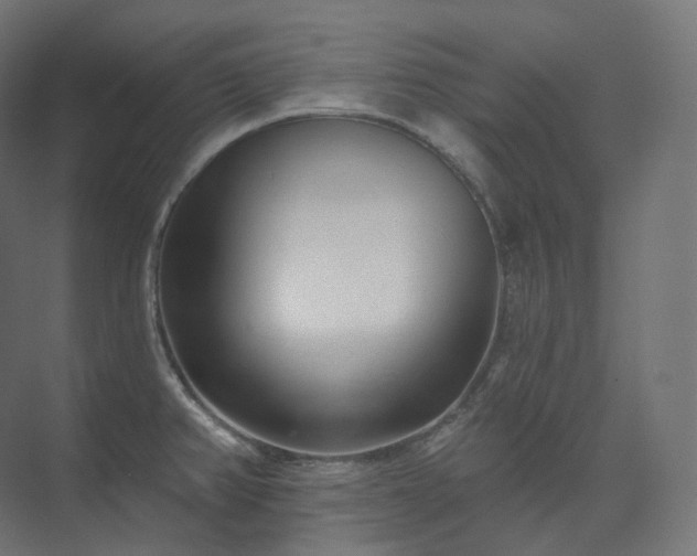 X0000073521382200608071110