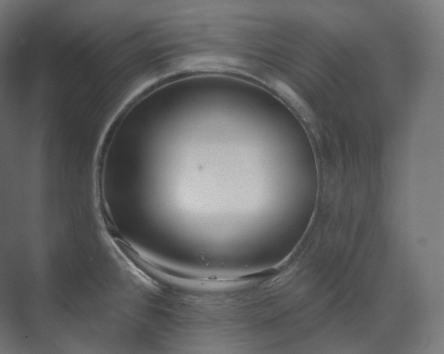 X0000073521384200608071110