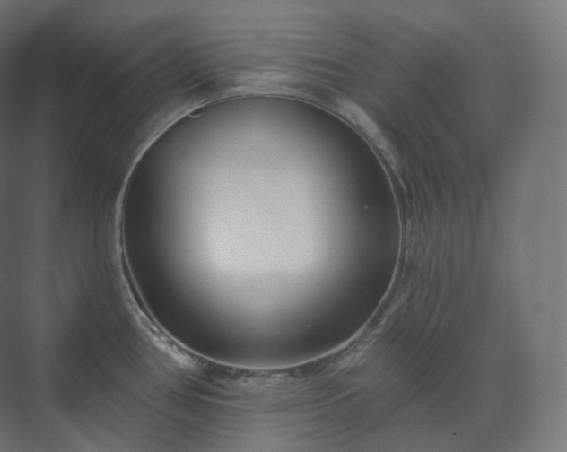 X0000073521386200608071110