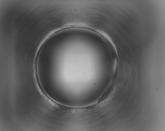 X0000073521389200608071110