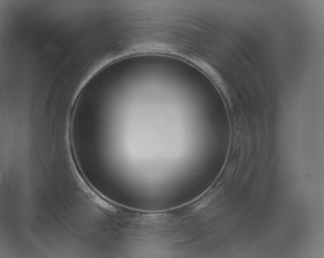 X0000073521390200608071110