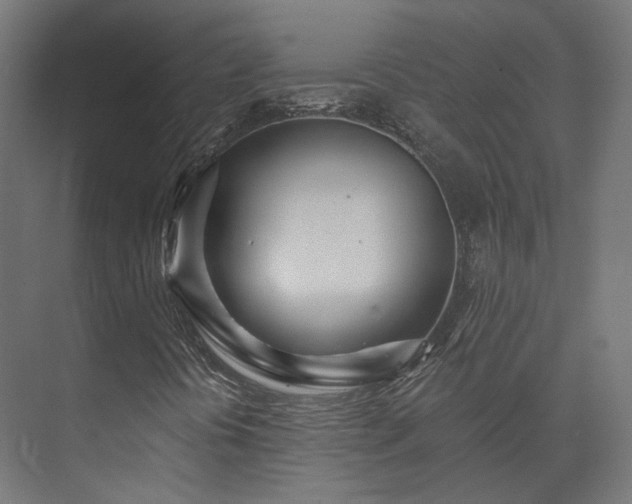 X0000073521394200608071109