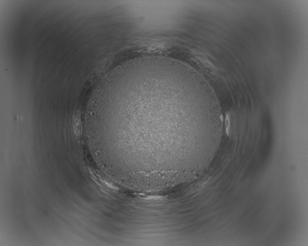 X0000073521395200608071109