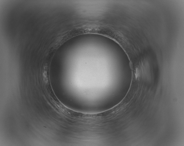 X0000073521396200608071109