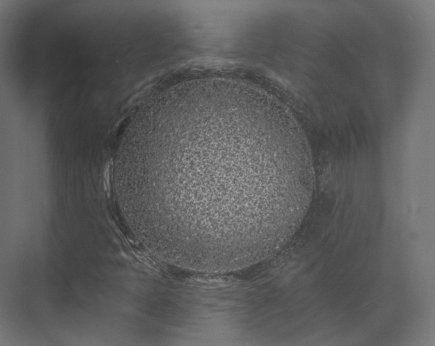 X0000073521397200608071109