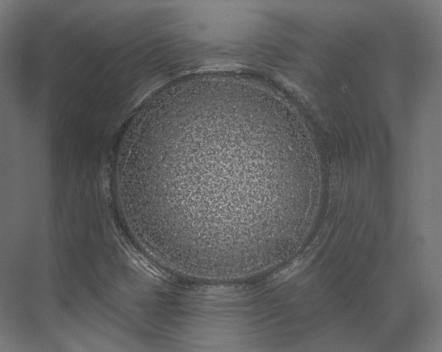 X0000073521401200608071109