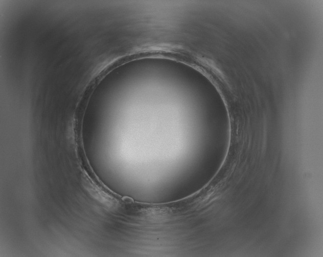 X0000073521404200608071109