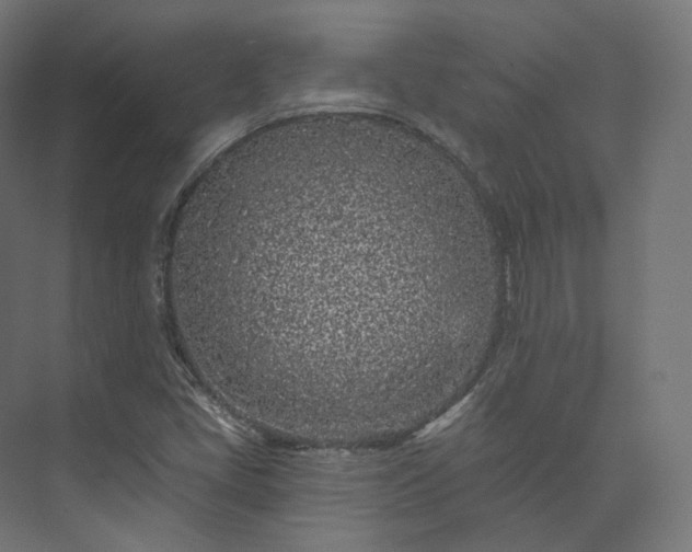 X0000073521405200608071109