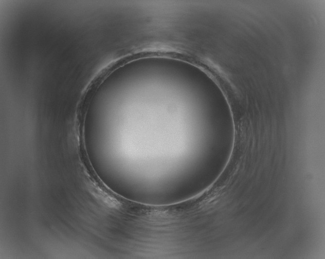 X0000073521408200608071109