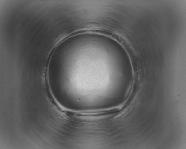 X0000073521409200608071109