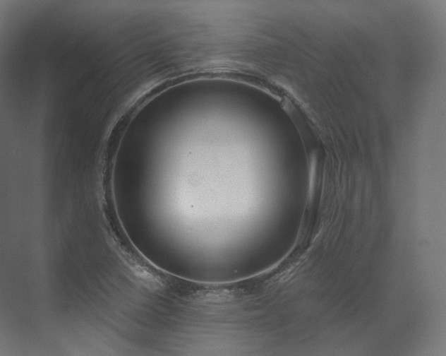 X0000073521410200608071109