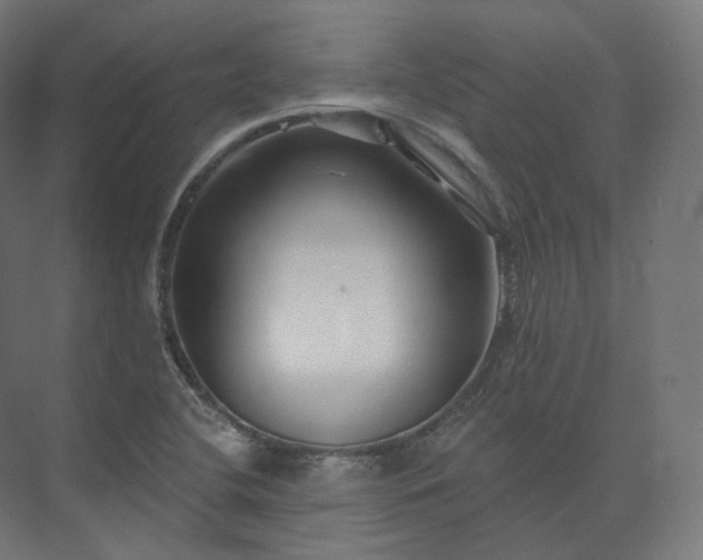 X0000073521412200608071109