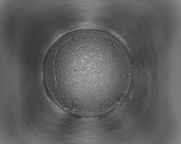X0000073521415200608071110