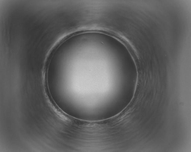 X0000073521416200608071110