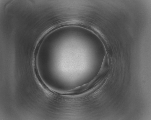 X0000073521418200608071110