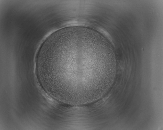 X0000073521419200608071110